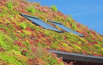 Skirpenbeck living roof systems