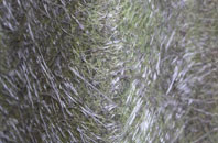 Skirpenbeck fibreglass roof work